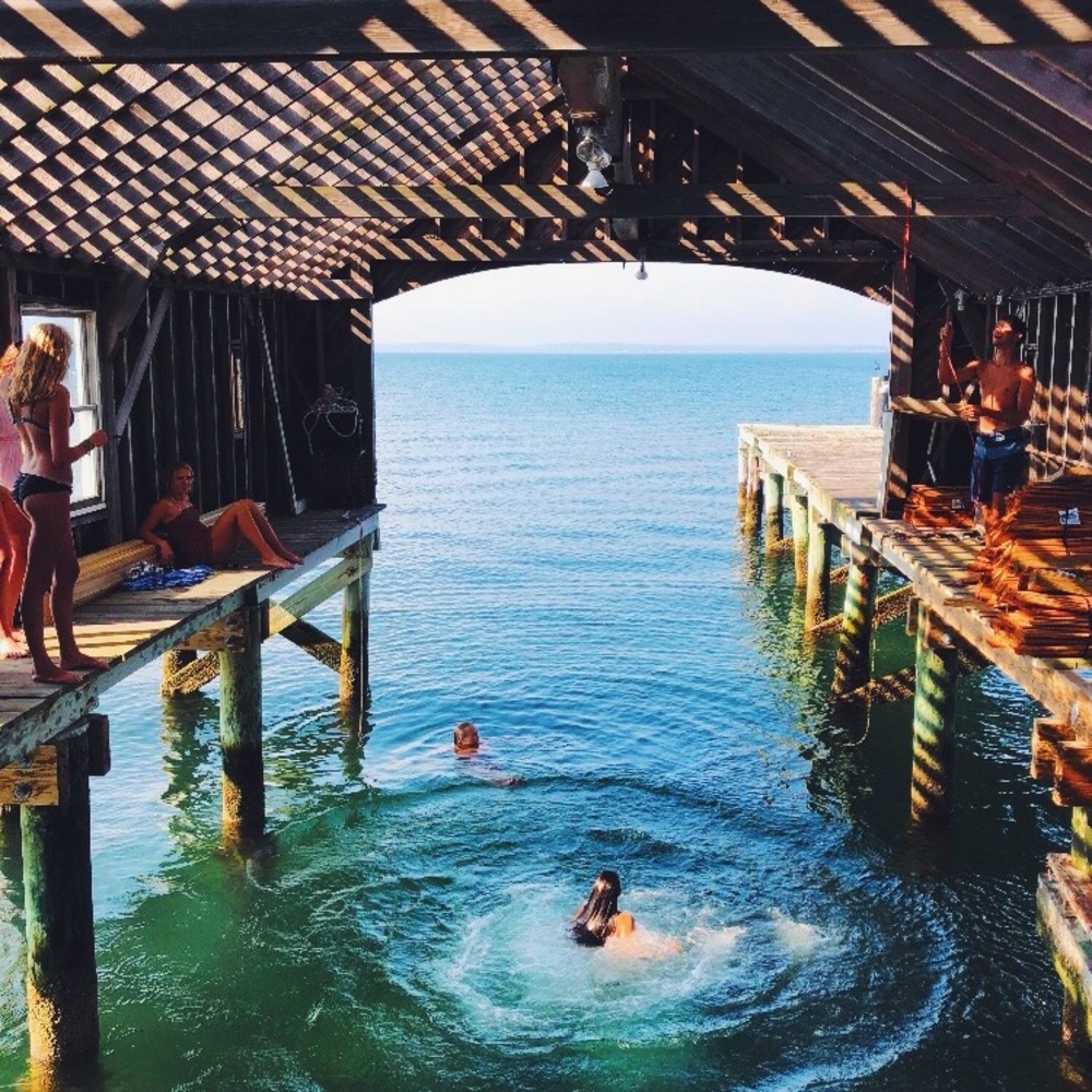 Meet your Posher, Amelia